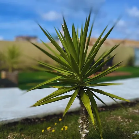 Affittacamere Algherolux -free Secure Gated Parking For Cars And Motorbikes