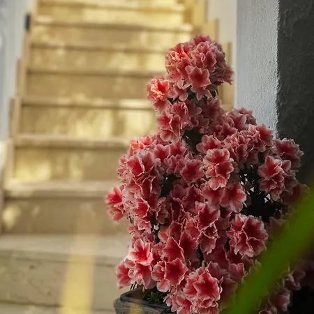 Algherolux -free Secure Gated Parking For Cars And Motorbikes Pensjonat