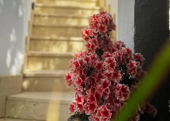 Algherolux -free Secure Gated Parking For Cars And Motorbikes Pensjonat