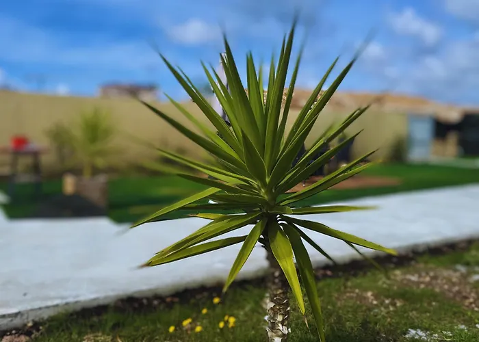 Pensjonat Algherolux -free Secure Gated Parking For Cars And Motorbikes